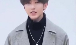 蔡徐坤母亲被爆料视频,揭秘明星家庭背后的故事