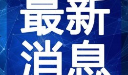 王先生深圳最新爆料视频,揭秘城市热点事件背后的真相