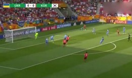 世界杯最新爆料信息,最新爆料揭秘神秘战局