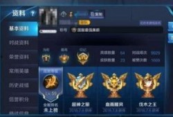 王者参数爆料最新,神秘英雄登场，技能升级，战局再起！