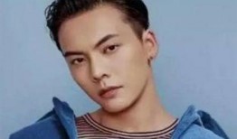 张钧哉爆料陈伟霆视频,背后真相引热议